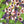 Load image into Gallery viewer, Kapital Silk rayon cotton flower pattern wind pen aloha shirt (short sleeves) K2205SS112
