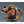 Load image into Gallery viewer, Bandai Niformation One Piece Marshall D. Teach Deformed Figure with Chewing Gum
