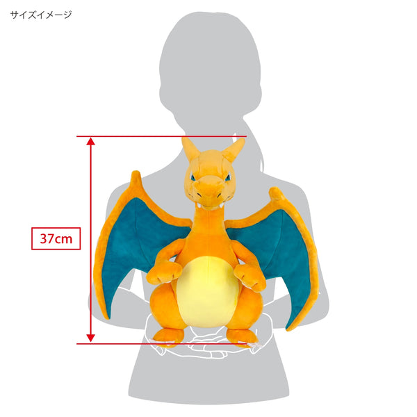 Pokemon All Star Collection Charizard Medium Plush