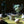 Load image into Gallery viewer, Heaven &amp; Earth Sobachoko Cup - Rock
