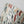 Load image into Gallery viewer, Heaven &amp; Earth Sobachoko Cup - Rock
