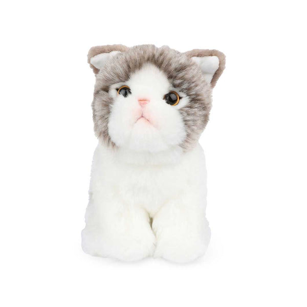 Bon Ton Toys B.T. Chaps Amelie Scottish Fold Plush Toy