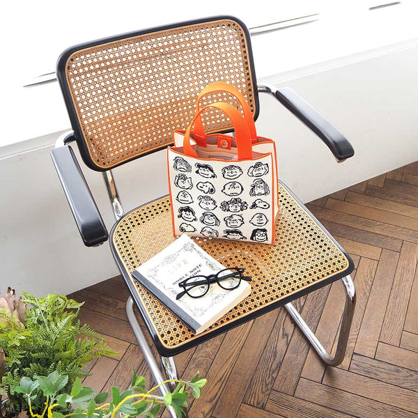 Peanuts Gang Cubic Bag