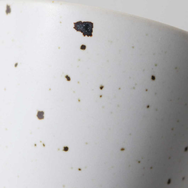 Enceladus Crater Arita Porcelain Soba Cup