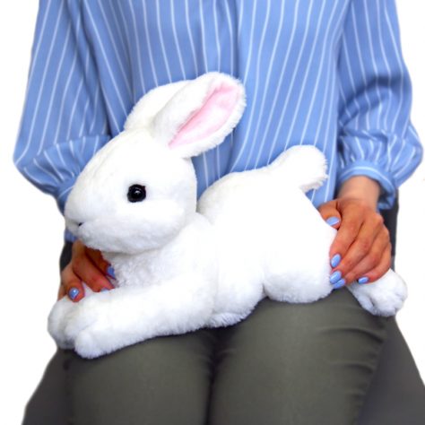 Knee Rabbit Plush Toy White S Size P-3782