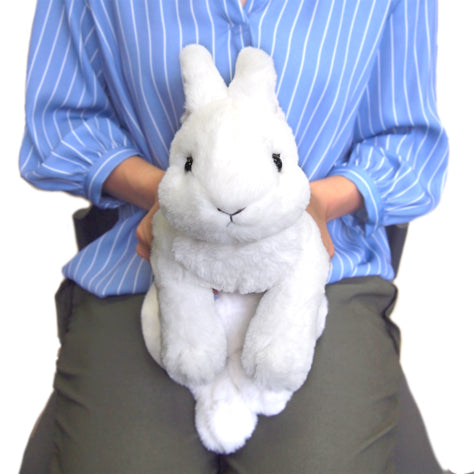 Knee Rabbit Plush Toy White S Size P-3782