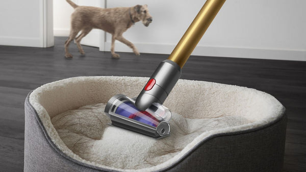 Dyson V12 Detect Slim Absolute SV46 ABL EX – Cordless Handheld Vacuum