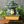 Load image into Gallery viewer, My Neighbor Totoro Bonsai Style Water Garden Figure
