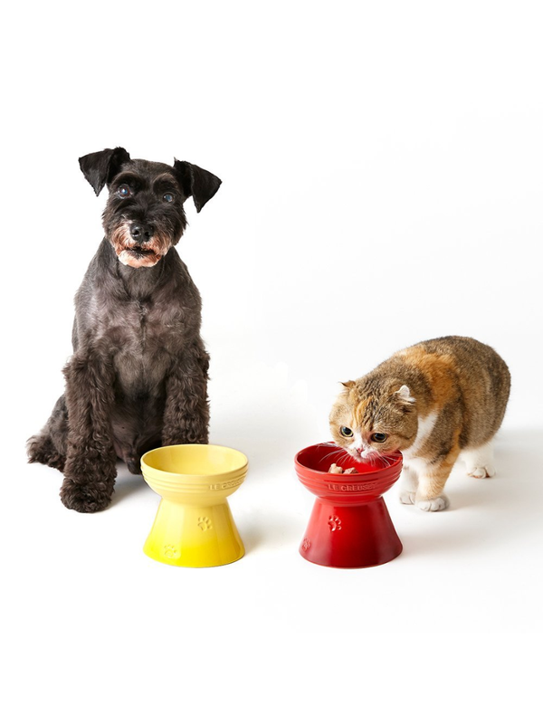 LE CREUSET High Stand Pet Bowl 380ml