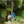 Load image into Gallery viewer, Totoro Style Keychain Medium Totoro and Small Totoro Character
