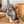 Load image into Gallery viewer, My Neighbor Totoro Planter Cover – Totoro Carrying Basket Flower Pot Holder
