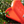 Load image into Gallery viewer, Arrietty Hair Clip Clothespin – The Secret World of Arrietty Inspired
