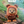 Load image into Gallery viewer, Star Wars Ewok Story Trading Series Cosby Plush Toy Box of 8 Pre-order
