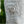 Load image into Gallery viewer, Princess Mononoke Inspired Shishigami Planter Cover
