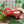 Load image into Gallery viewer, Arrietty Hair Clip Clothespin – The Secret World of Arrietty Inspired
