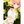 Load image into Gallery viewer, The Quintessential Quintuplets Manga Complete Set Vol.1–14 Japanese
