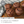 Load image into Gallery viewer, Ninja Twisti High-Speed Blender SS151J
