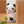 Load image into Gallery viewer, Panda! Go Panda! Pan-chan Waiting Figure
