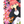 Load image into Gallery viewer, The Quintessential Quintuplets Manga Complete Set Vol.1–14 Japanese
