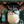 Load image into Gallery viewer, My Neighbor Totoro Water Garden BONSAI Umbrella Shelter Scene
