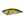 Load image into Gallery viewer, Megabass I×I FURIOUS 0.5 Shallow Diving Lure High Speed Crankbait Fishing Lure
