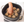 Load image into Gallery viewer, Ninja MC1101J 8-in-1 Multi Cooker
