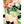 Load image into Gallery viewer, The Quintessential Quintuplets Manga Complete Set Vol.1–14 Japanese
