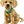 Load image into Gallery viewer, LEGO Icons Golden Retriever Puppy 11384 – Adult Building Set

