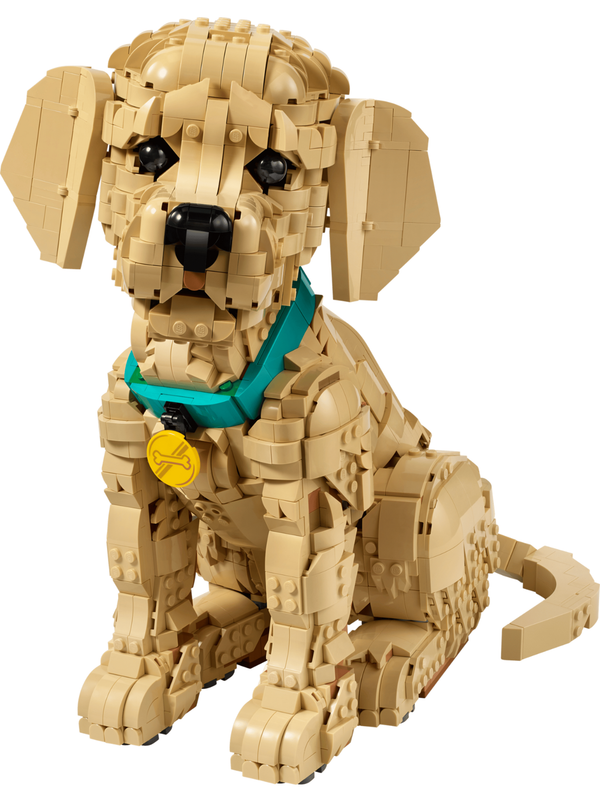 LEGO Icons Golden Retriever Puppy 11384 – Adult Building Set