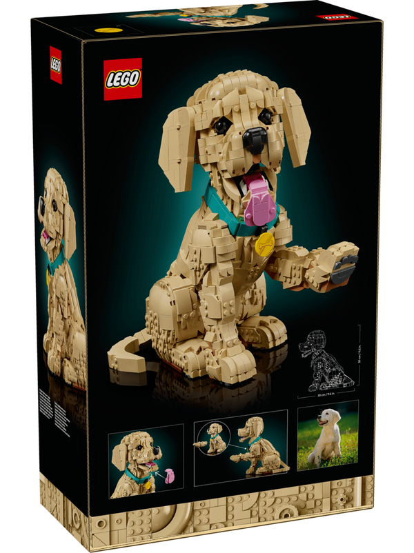 LEGO Icons Golden Retriever Puppy 11384 – Adult Building Set