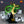 Load image into Gallery viewer, Dragon Ball Shenron 40th Anniversary Figure Last One Prize
