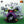 Load image into Gallery viewer, Dragon Ball Piccolo 40th Anniversary Figure Prize D
