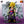 Load image into Gallery viewer, Dragon Ball Son Gohan 40th Anniversary Figure Prize C
