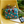 Load image into Gallery viewer, Hobonichi LIBERTY FABRICS Decadent Blooms Large Accordion Organizer Pouch
