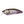 Load image into Gallery viewer, Megabass I×I FURIOUS 0.5 Shallow Diving Lure High Speed Crankbait Fishing Lure
