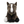 Load image into Gallery viewer, Idol Horse Equinox 2023 Japan Cup Plush Doll L Size
