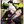 Load image into Gallery viewer, PASH! Magazine October 2025 Issue
