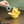 Load image into Gallery viewer, Pokemon Pikachu Small Item Tray Desk Organizer
