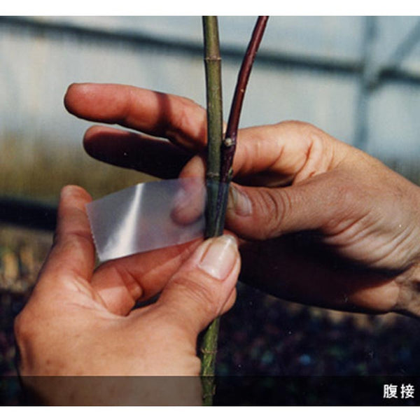 Aglis New Medel non perforated Buddy Tape Agricultural Materials 25mm x 30M