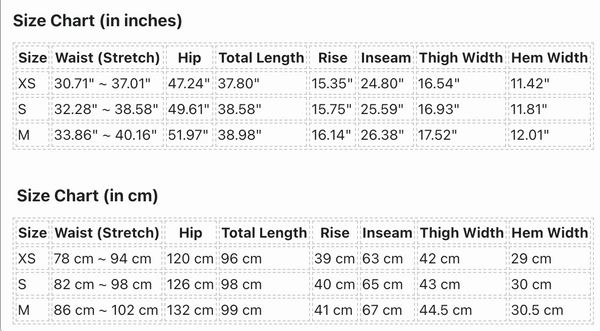 Needles B'2nd EXCLUSIVE H.D.Track pant PolySmooth 2025AW Charcoal Glay