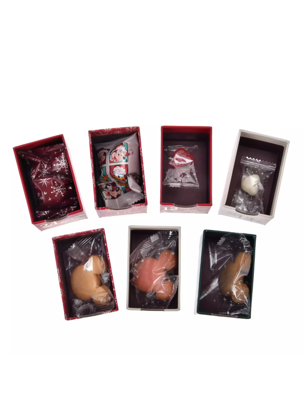 Disney Mickey & Friends Advent Calendar Christmas 2025 Japan