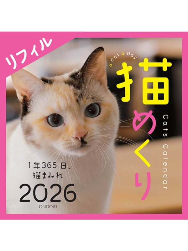 C.O.T.O Cat Turning 2026 Daily Calendar Refill – CK-C26-02 (Japan)
