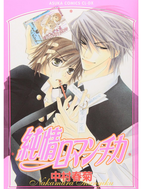 Junjo Romantica Vol.1–30 Manga Set Japanese