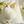 Load image into Gallery viewer, MOOMIN80 Hug Plush – Moomin 80th Anniversary Premium Stuffed Toy
