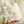 Load image into Gallery viewer, MOOMIN80 Hug Plush – Moomin 80th Anniversary Premium Stuffed Toy

