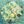 Load image into Gallery viewer, Yumi Kitagishi Green Illustration Scarf
