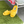Load image into Gallery viewer, Banaco Indoor Slippers for Adults
