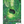 Load image into Gallery viewer, My Neighbor Totoro DVD
