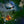 Load image into Gallery viewer, PlayStation 5 Action Game ANNIE: Last Hope
