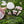Load image into Gallery viewer, 【Pre-Order】DECORTE Makeup Collection 2026 – Alice in DECORTÉ Wonderland Limited Edition Set
